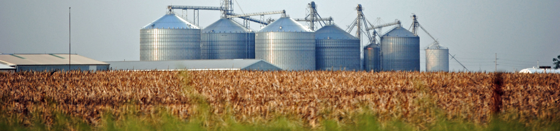 oilseed and grain farming