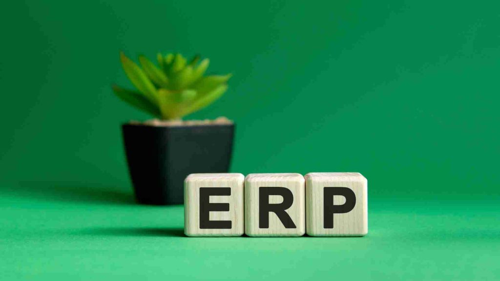 Custom ERP