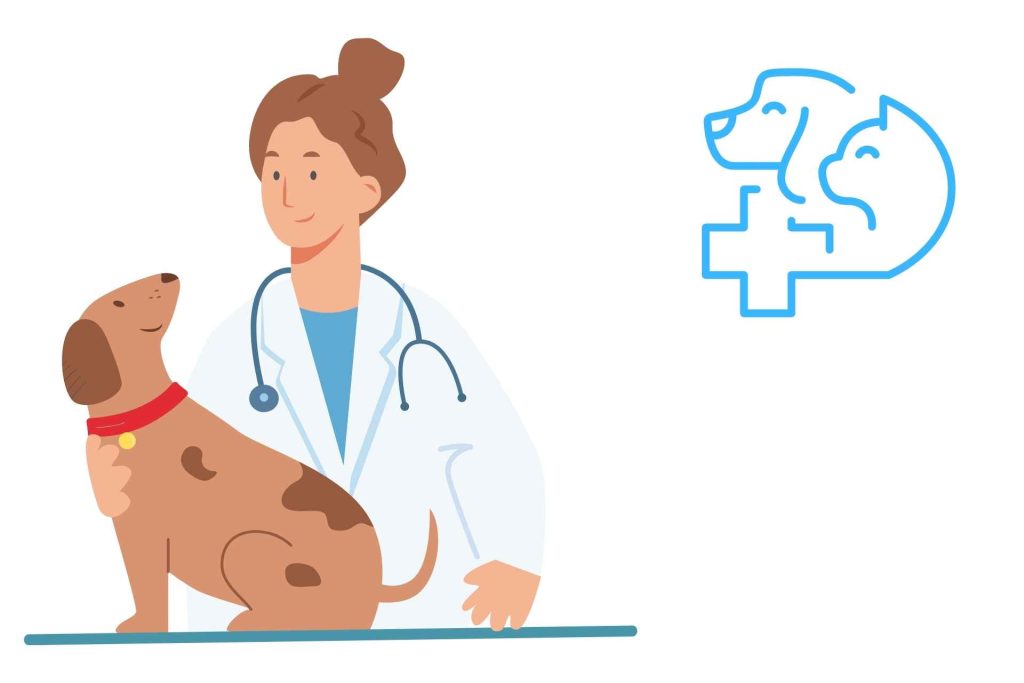 veterinarians