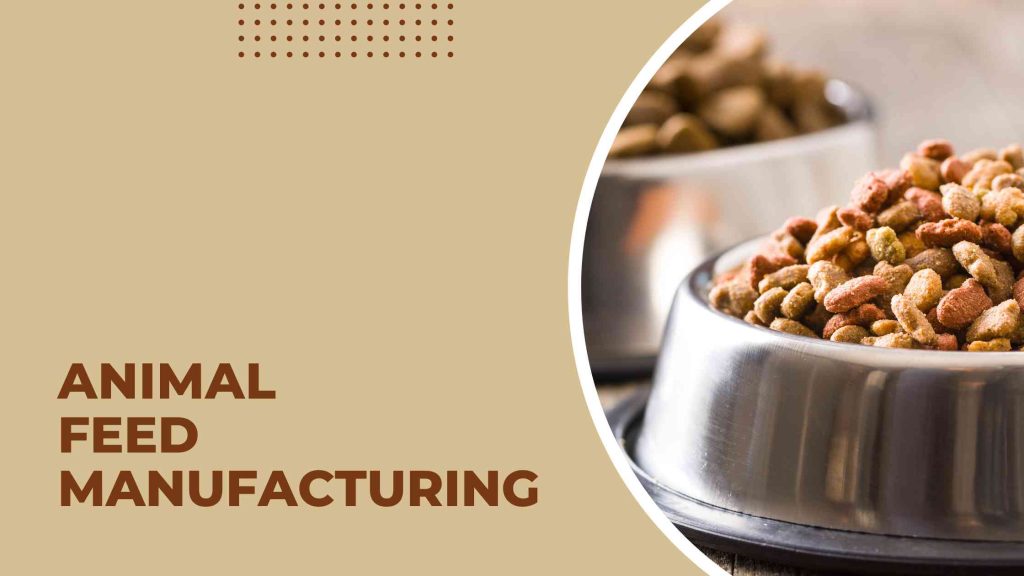 Animal Feed Production Industry: Meeting the Nutritional Needs of Livestock