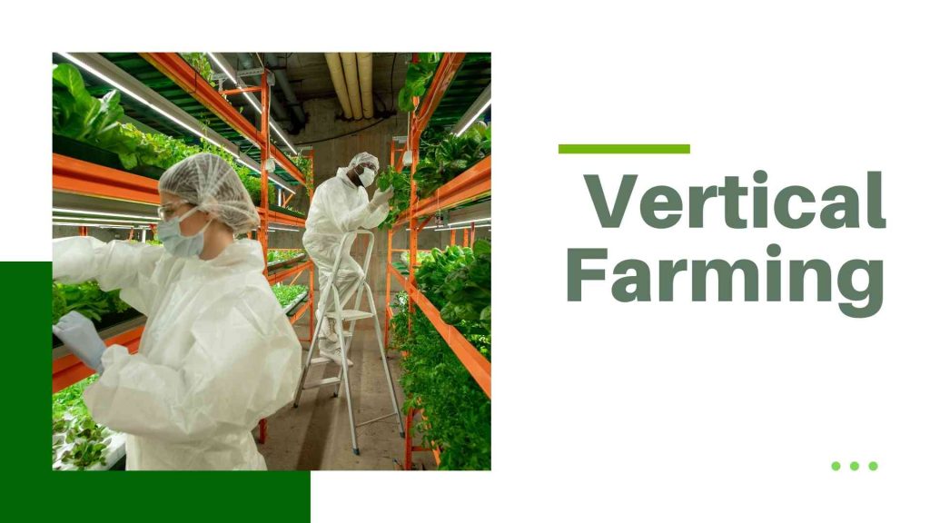Vertical Farming and Controlled Environment Agriculture