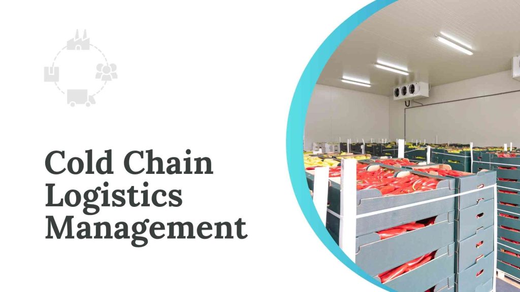 Cold Chain Logistics Management Overview